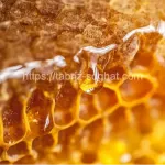 عسل-طبیعی